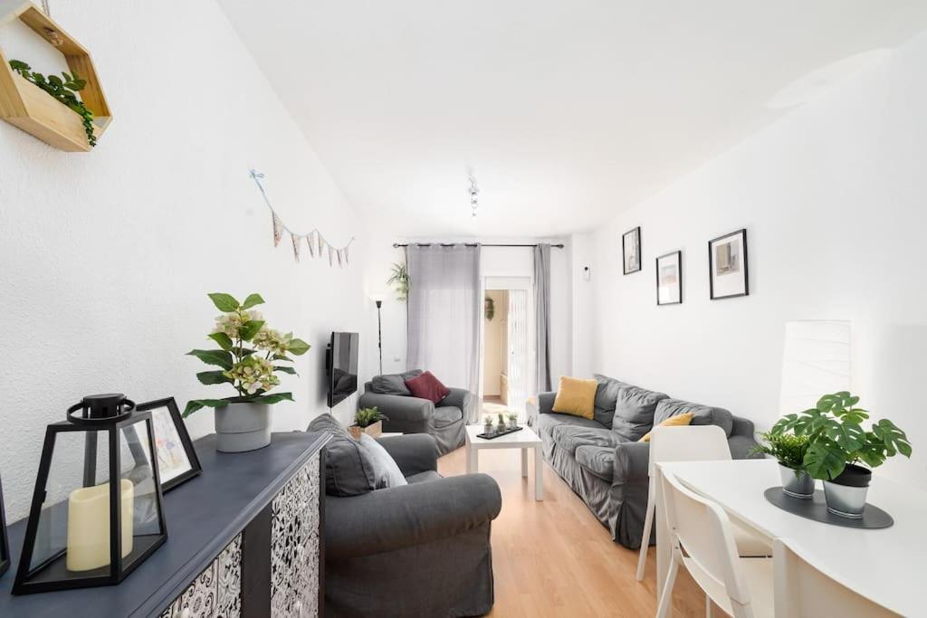 Home Rosa بينالماذينا المظهر الخارجي الصورة