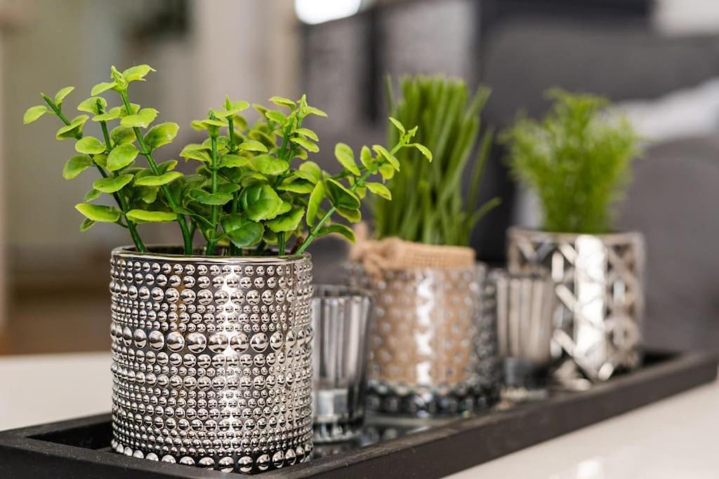 Home Rosa بينالماذينا المظهر الخارجي الصورة