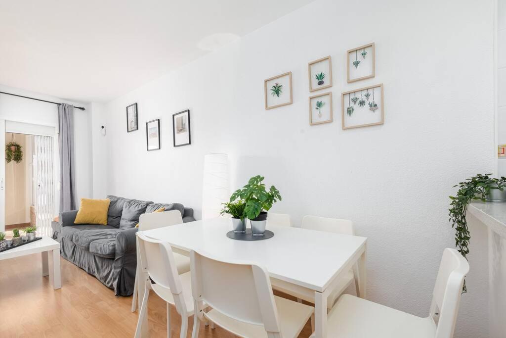 Home Rosa بينالماذينا المظهر الخارجي الصورة