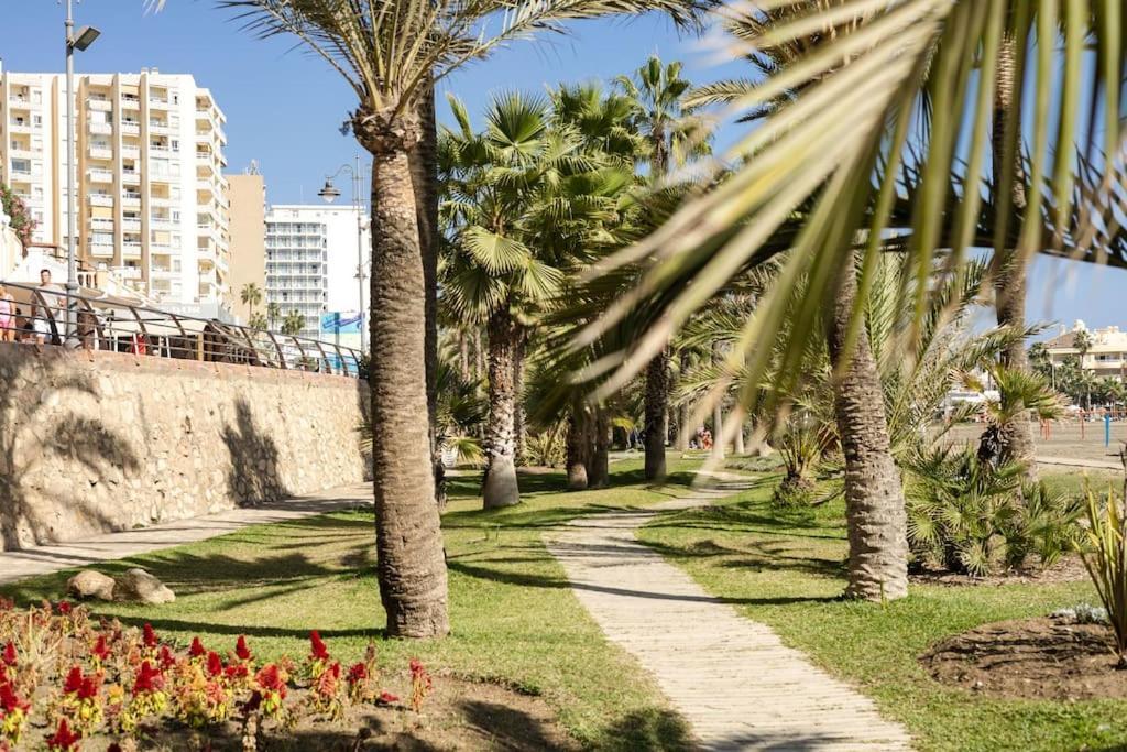 Home Rosa بينالماذينا المظهر الخارجي الصورة